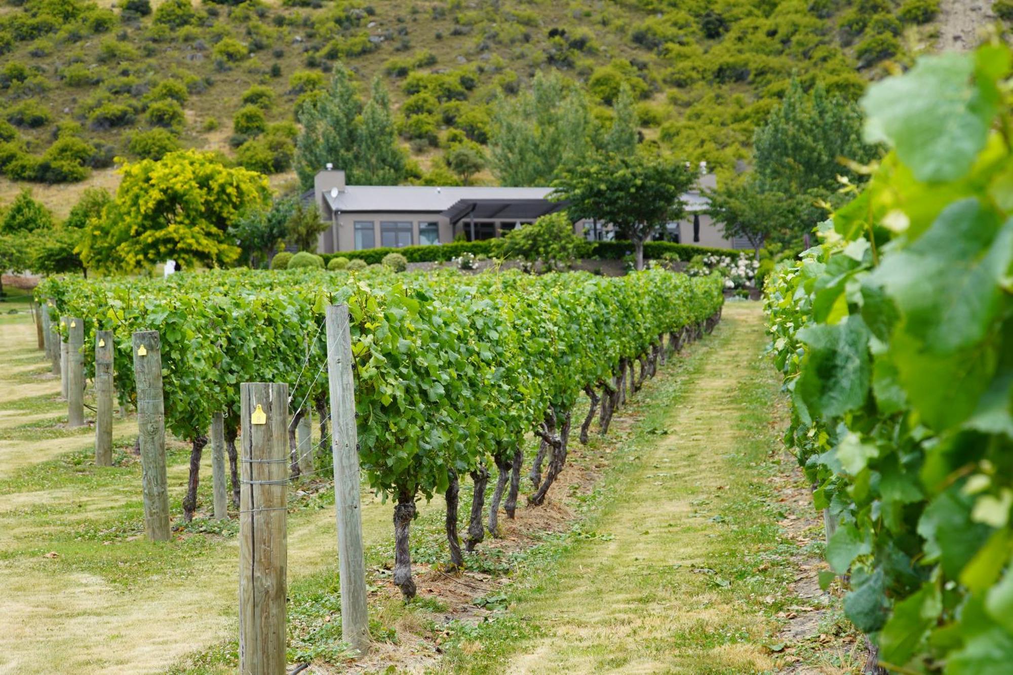 Mt Rosa Lodge Boutique Vineyard Accommodation Ванака Екстер'єр фото