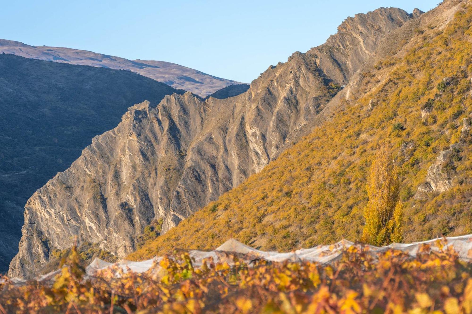 Mt Rosa Lodge Boutique Vineyard Accommodation Ванака Екстер'єр фото