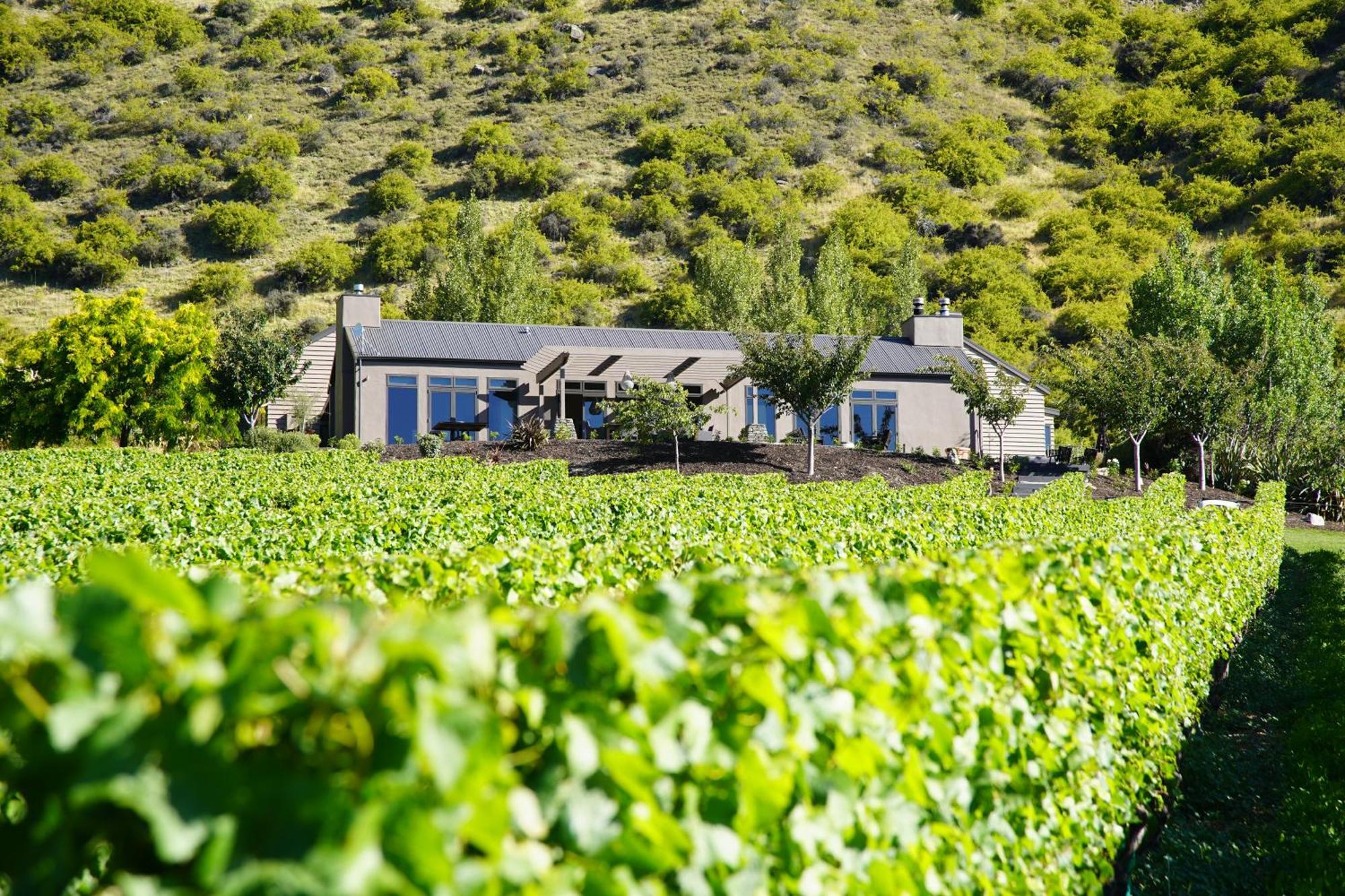 Mt Rosa Lodge Boutique Vineyard Accommodation Ванака Екстер'єр фото