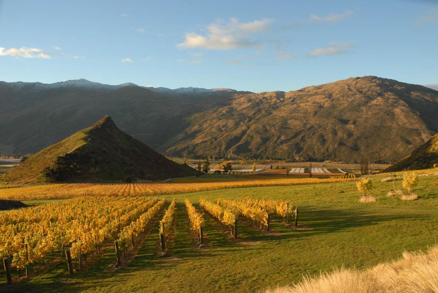 Mt Rosa Lodge Boutique Vineyard Accommodation Ванака Екстер'єр фото
