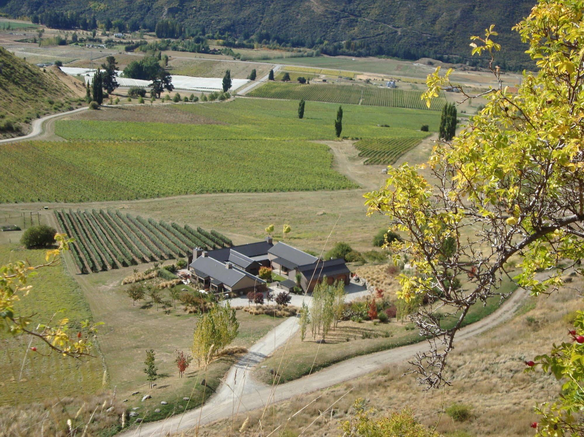 Mt Rosa Lodge Boutique Vineyard Accommodation Ванака Екстер'єр фото